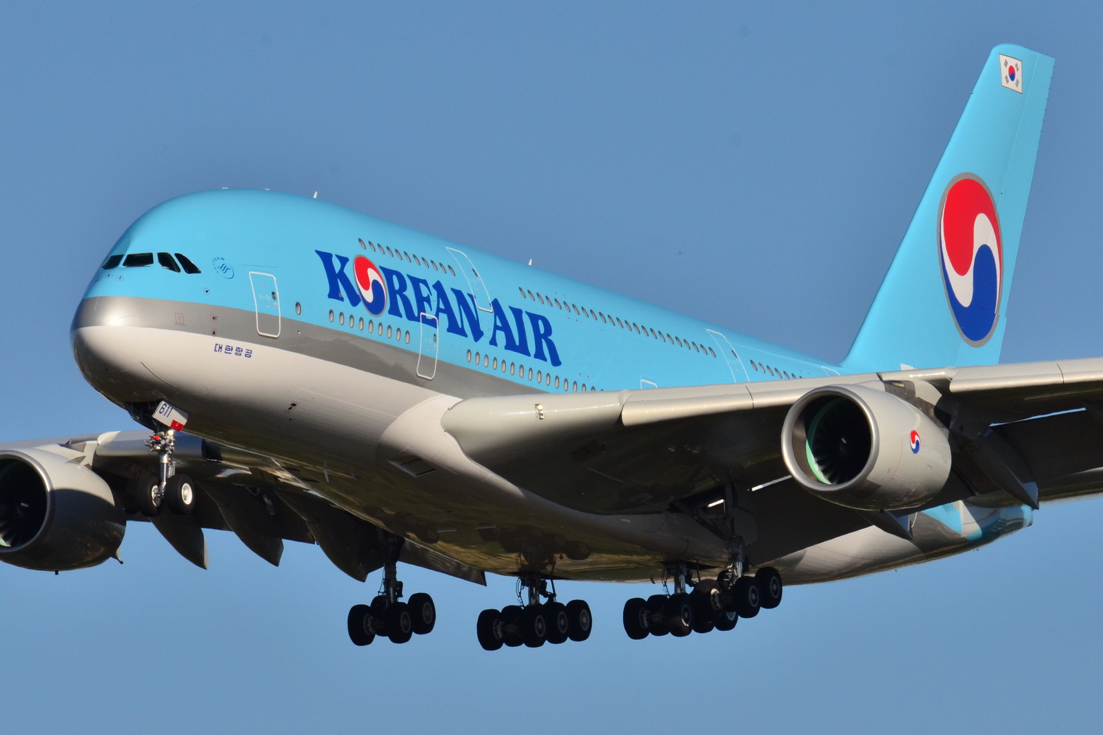 Quy định hành lý hãng Korean Air