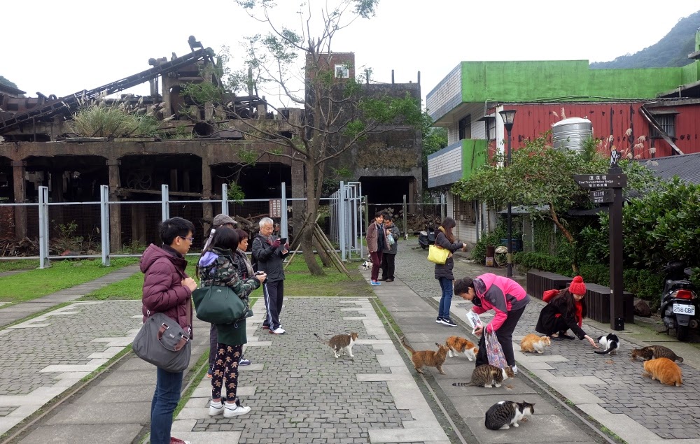 Houtong - Ngôi làng Đài Loan có hàng trăm chú mèo đi lạc đáng yêu